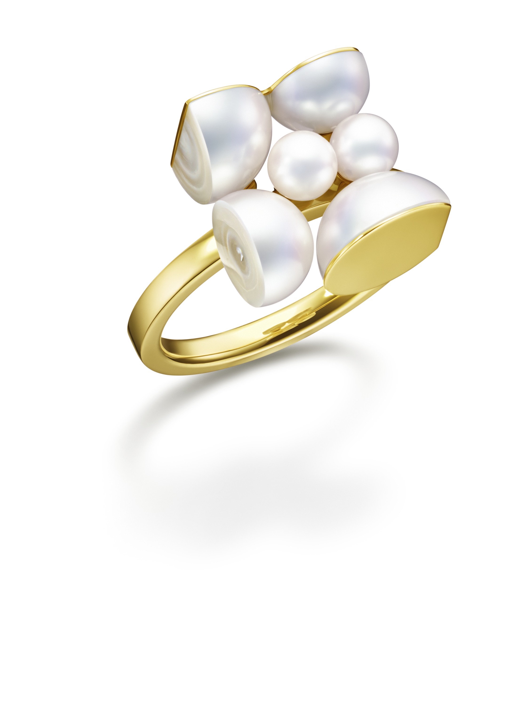 Segment Ring M/G Tasaki (Image courtesy of Melanie Georgacopoulos)